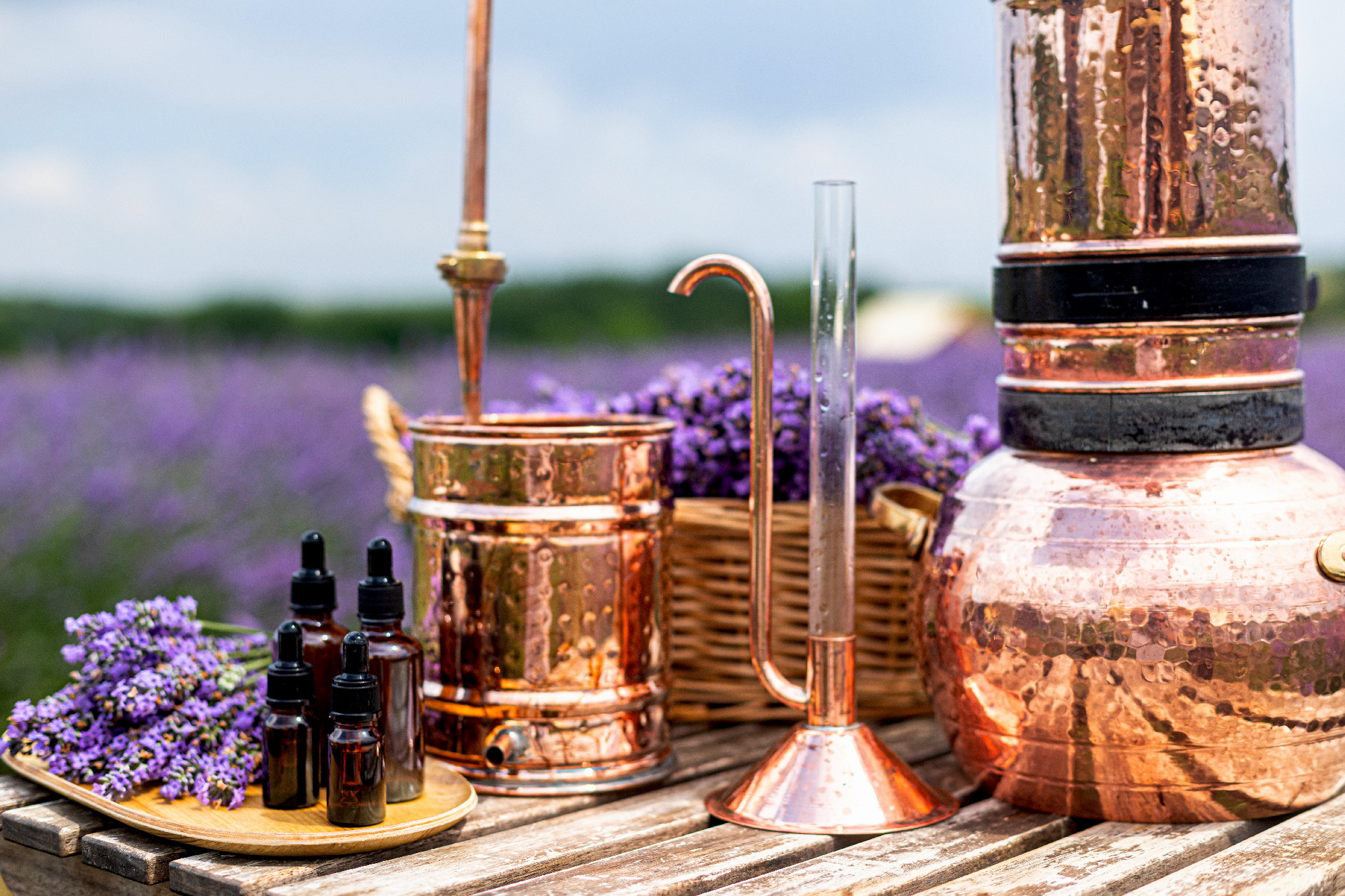 Distillation of lavender essential oil and hydrolate. Copper ala