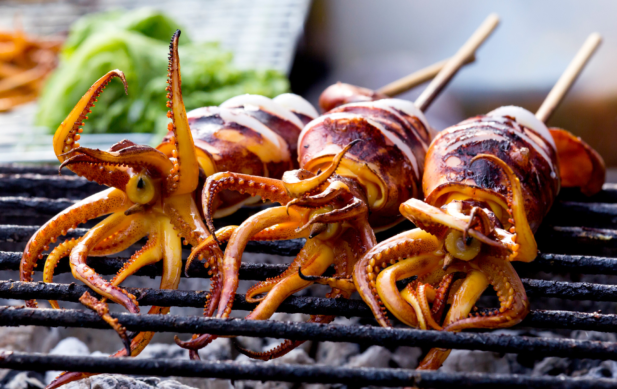 Three Grilled squid on gridiron,Delicious bar b Que sea food.
