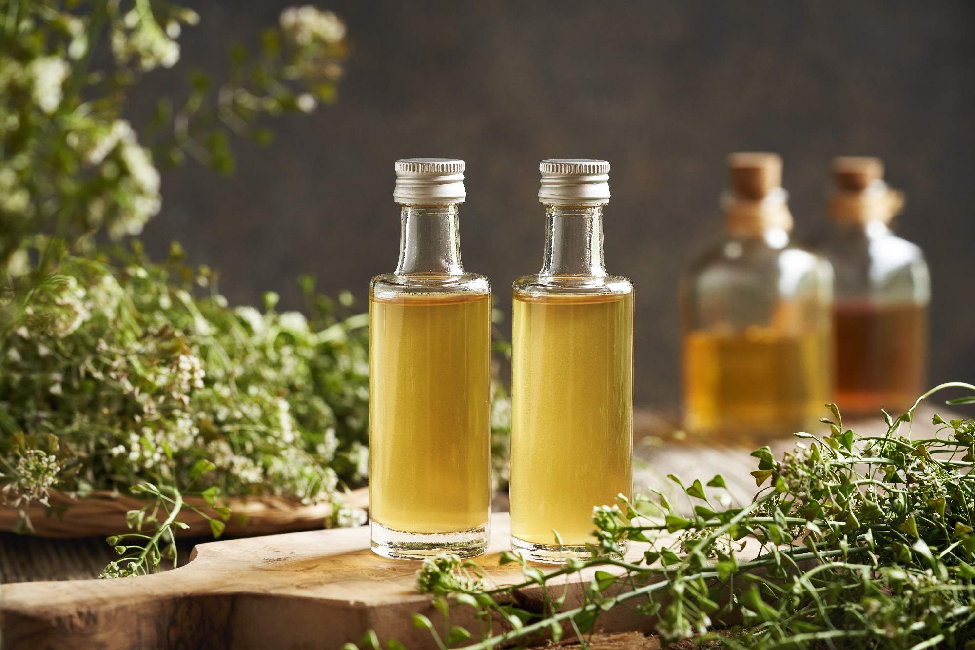 Two bottles of herbal tincture made of fresh blooming shepherd's