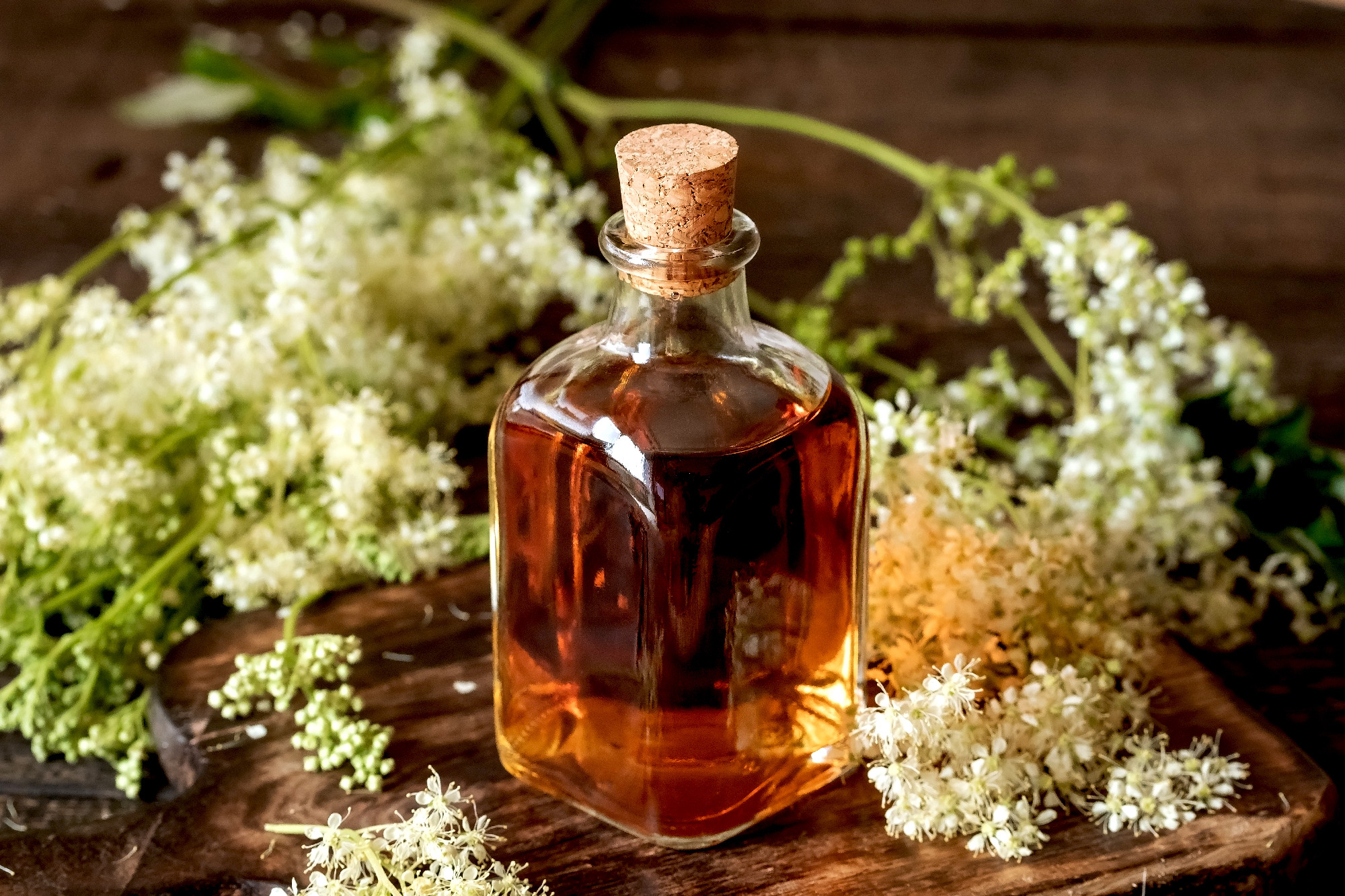 Homemade meadowsweet tincture with fresh blooming meadowsweet