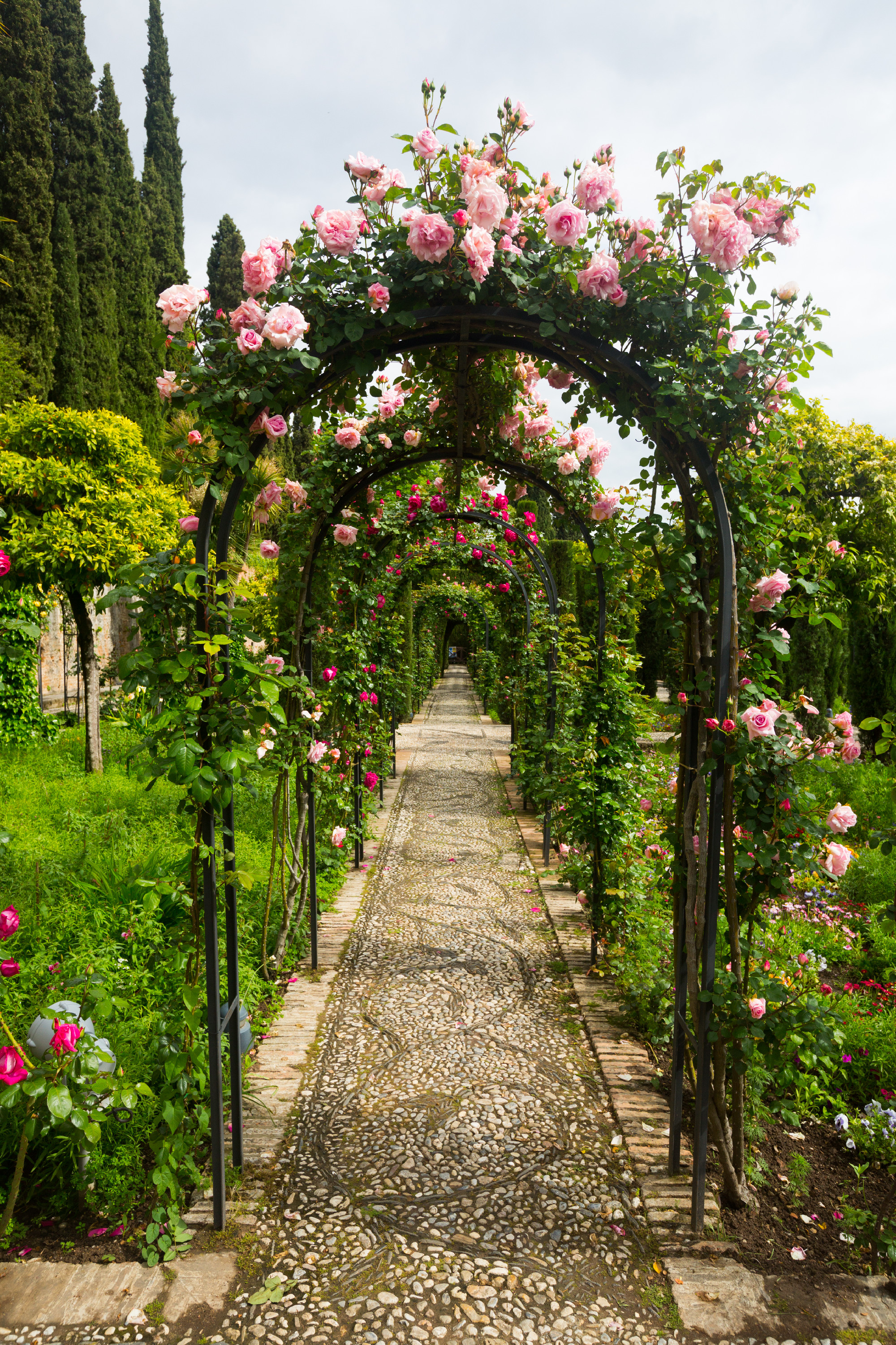 Arch with roses at garden of Generalife. Granada