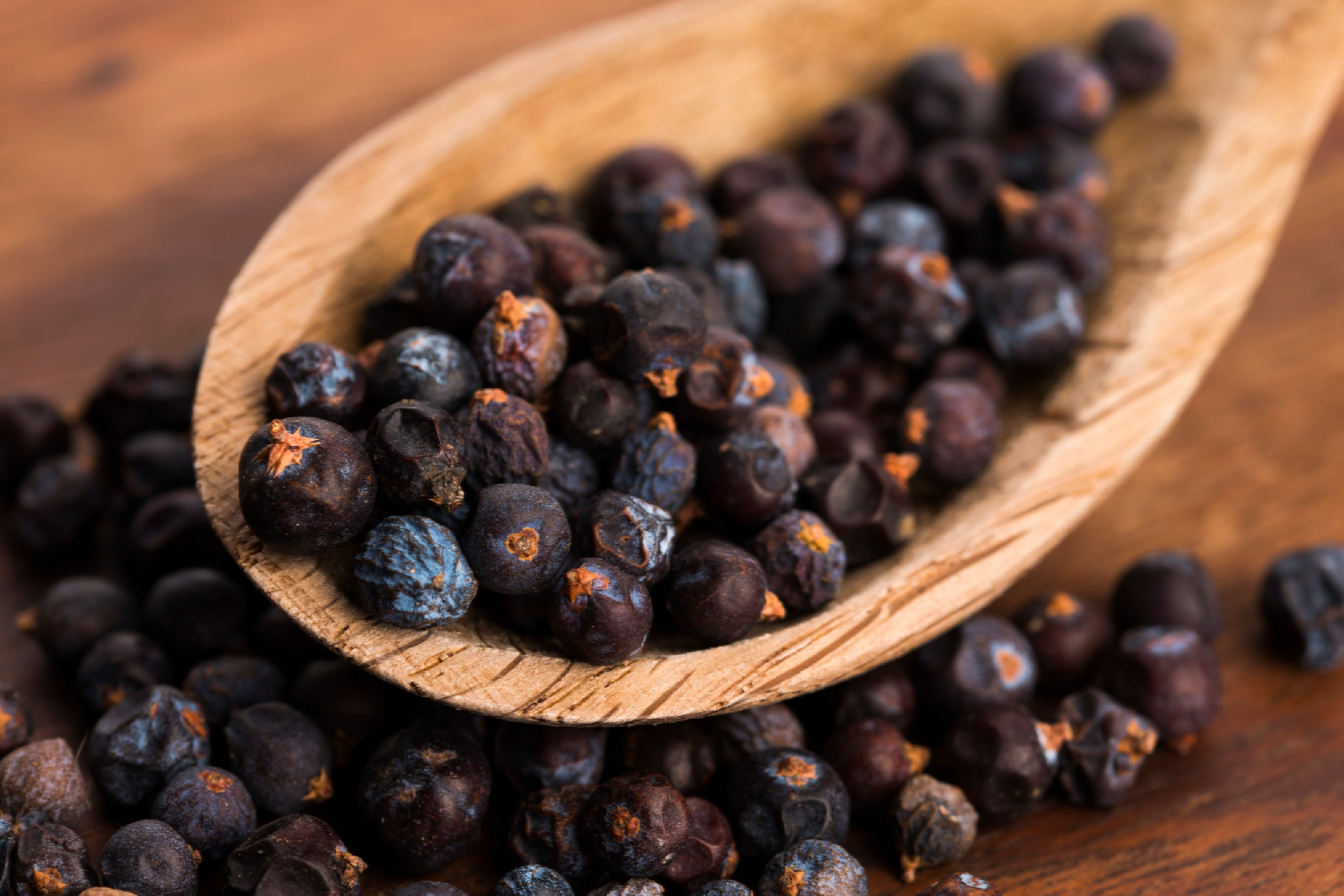 Juniper berries on a wooden background