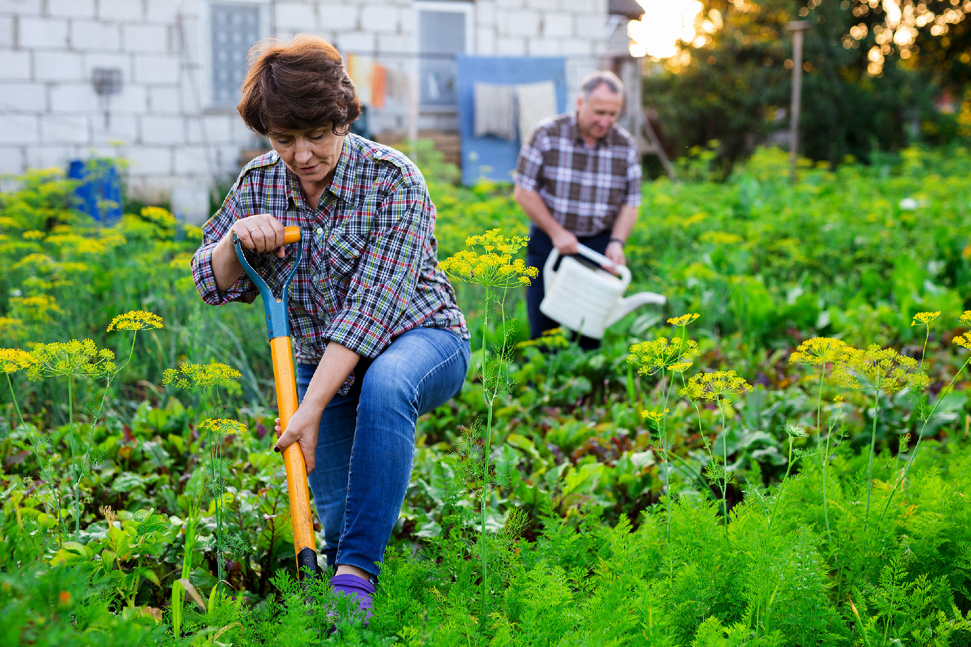 mature Man and woman gardeners with shovel and watering can whil
