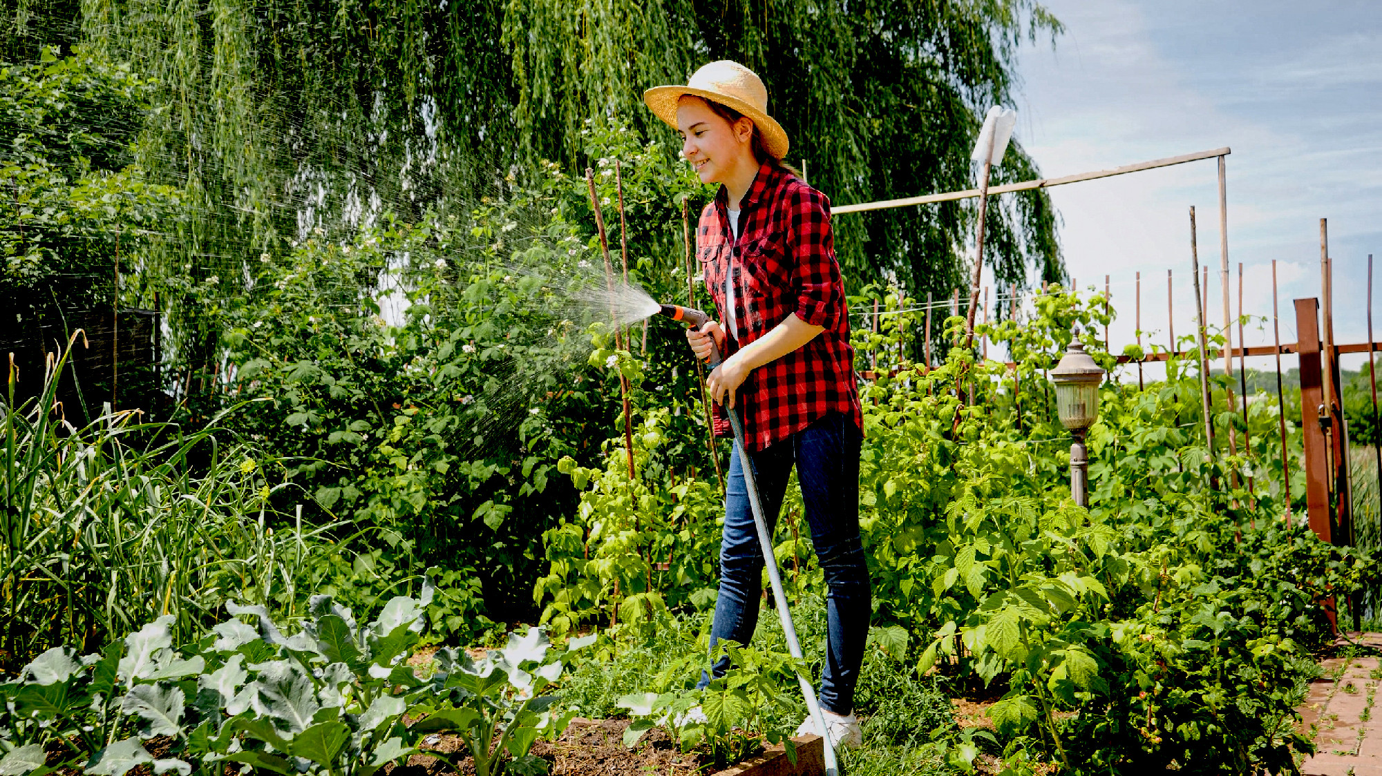 Smiling young girl holding water hose watering growing vegetable
