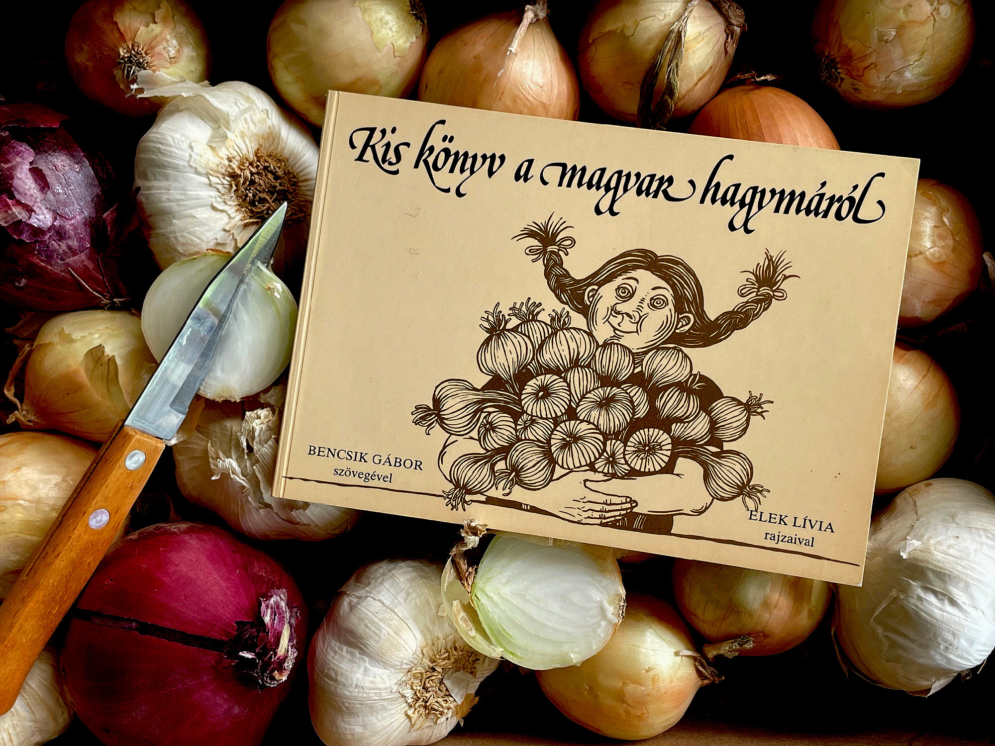 Kis könyv a magyar hagymáról – variációk kedvencünkre