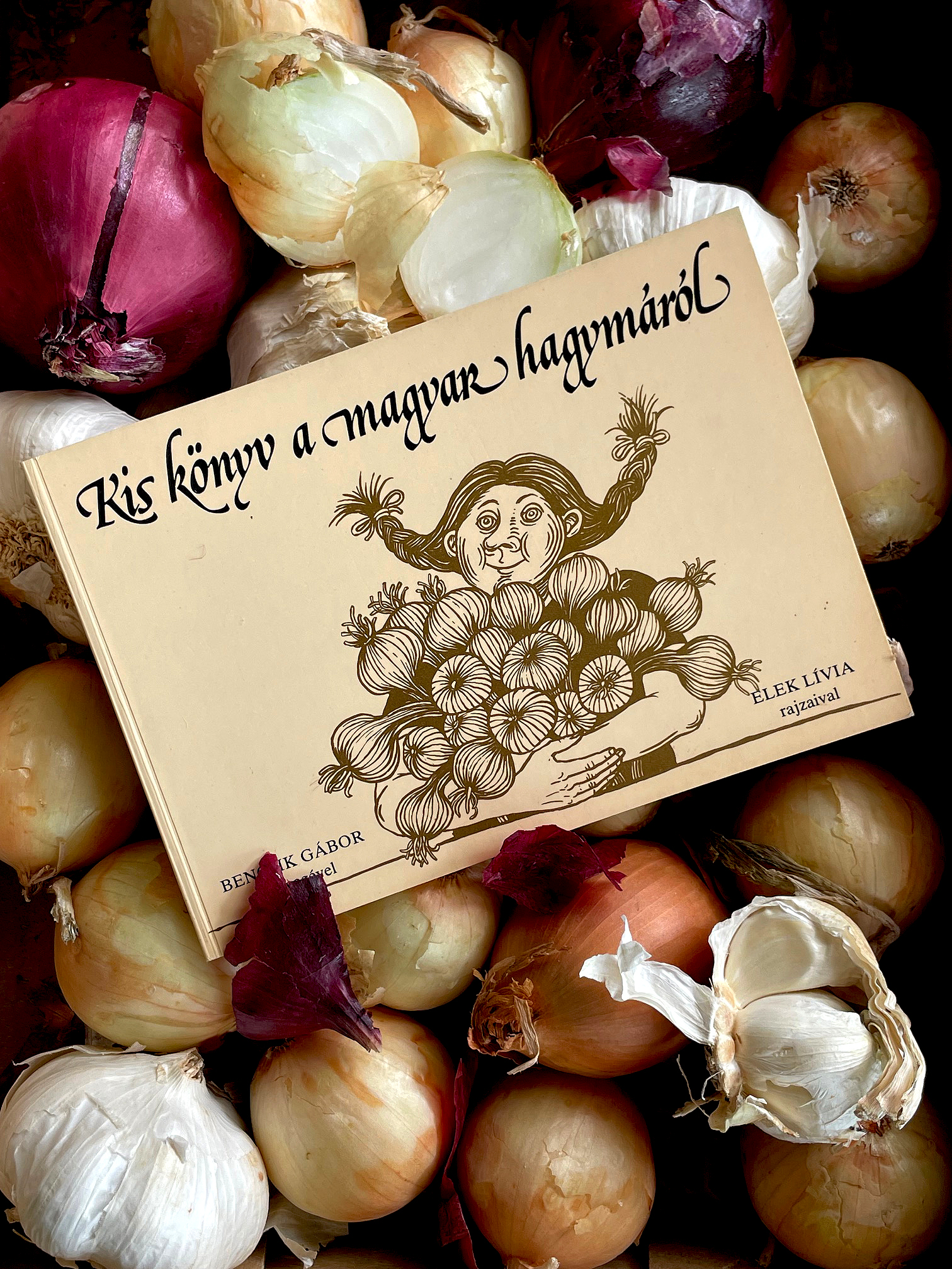 Kis könyv a magyar hagymáról – variációk kedvencünkre
