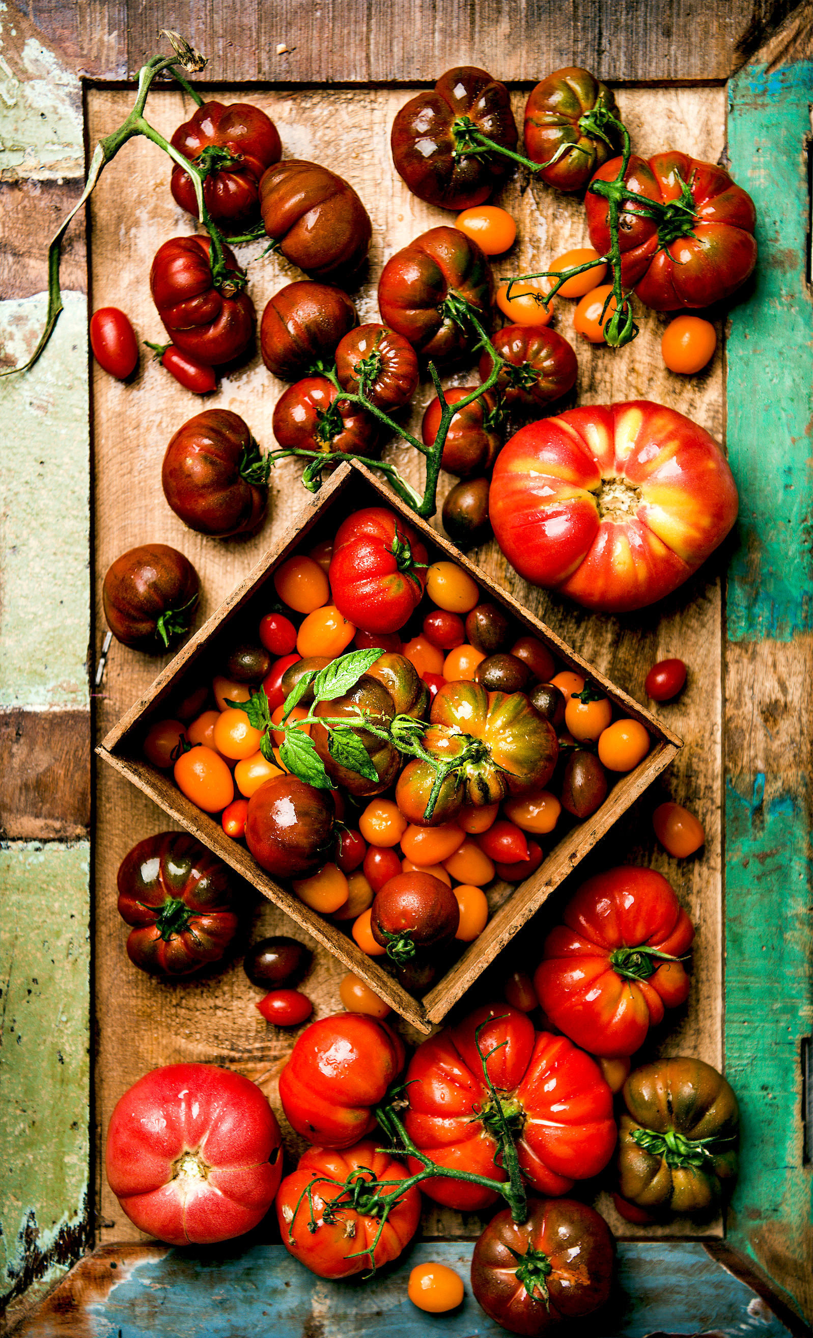 Flat -lay of fresh colorful tomatoes on tray, vertical compositi