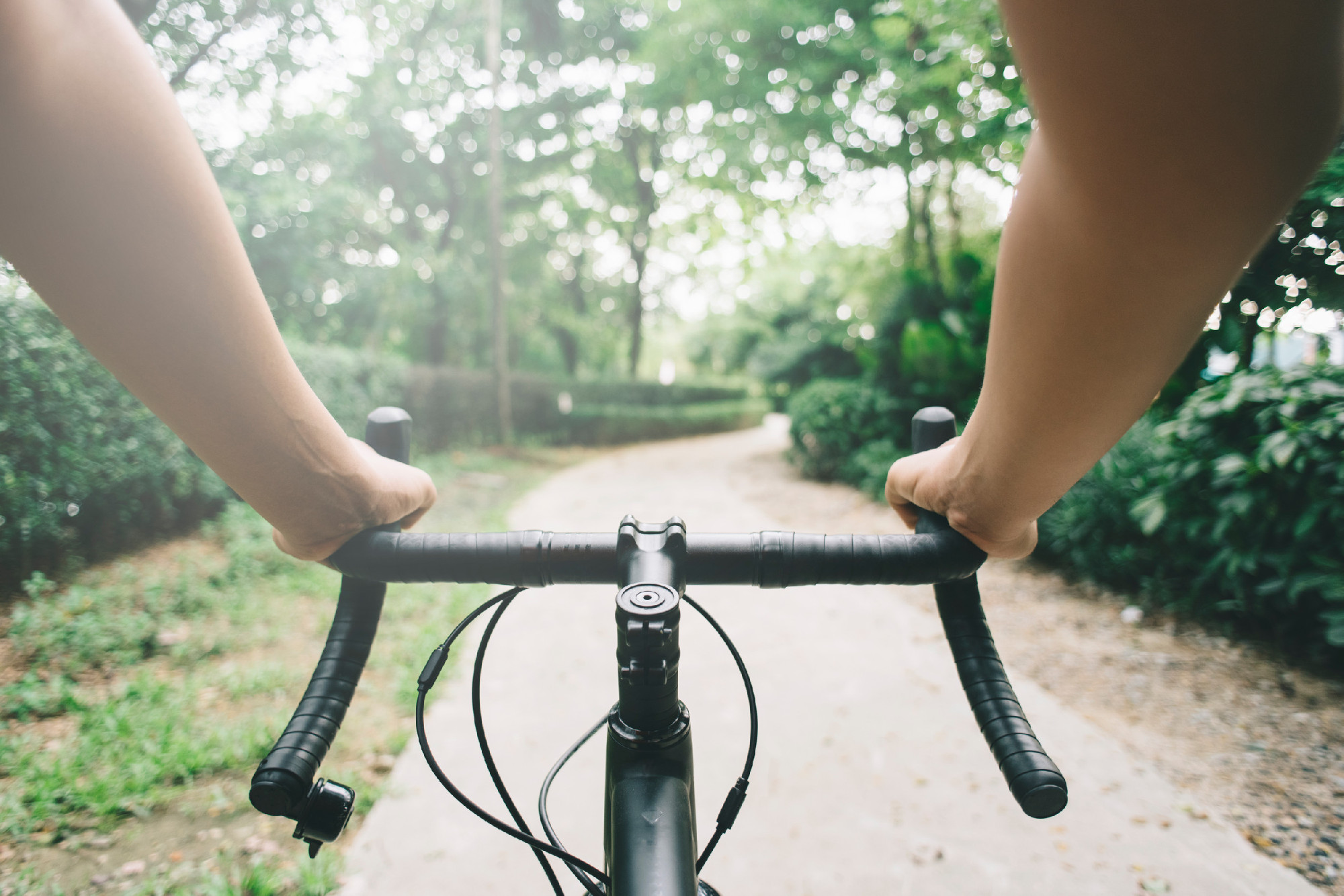 View of bicycle handle bar againts nature path park