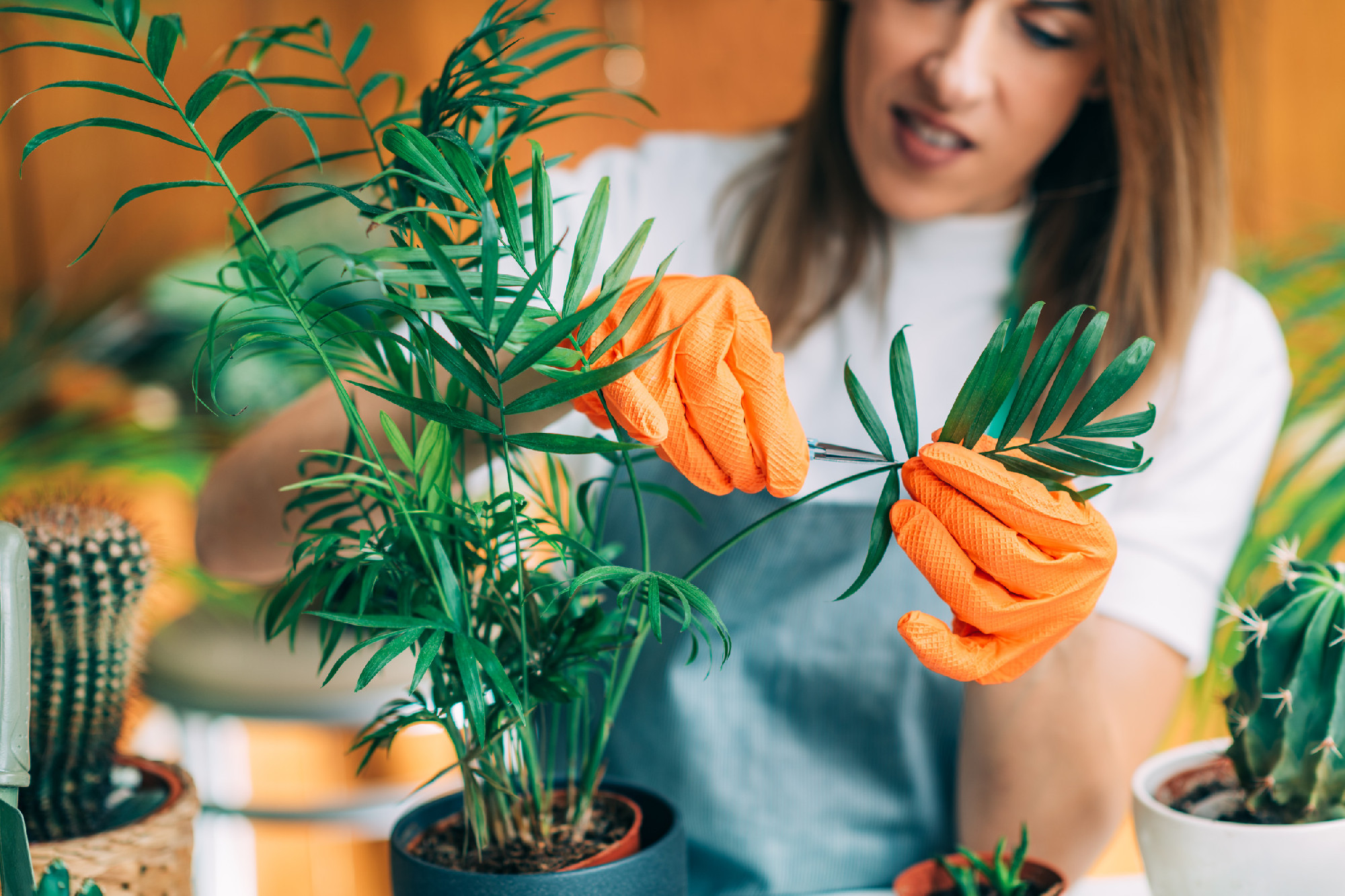 Maintaining Home Garden, Female Gardener Cutting Dry Leaves on P