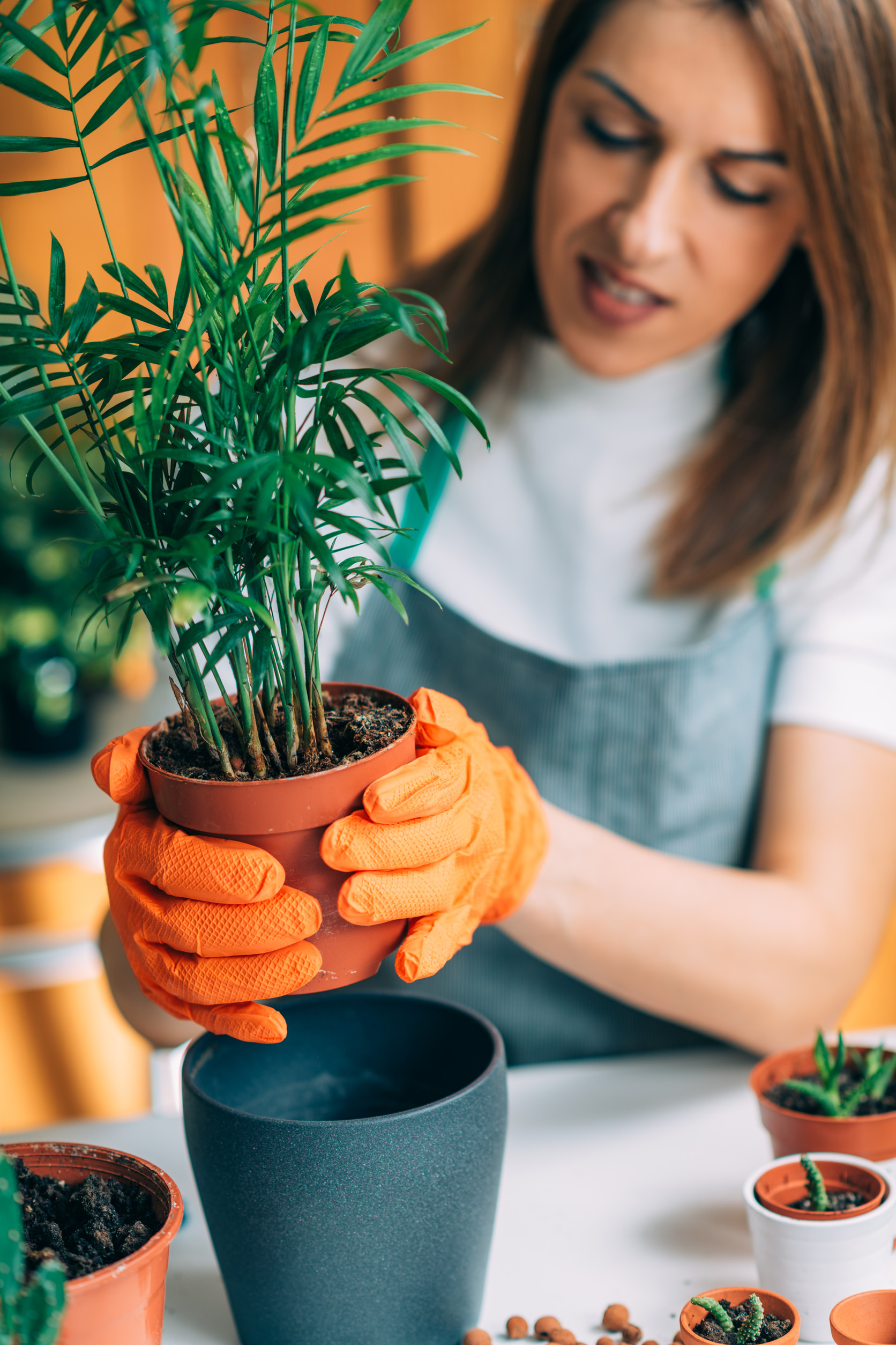 Female Gardener Holding a Potted Plant