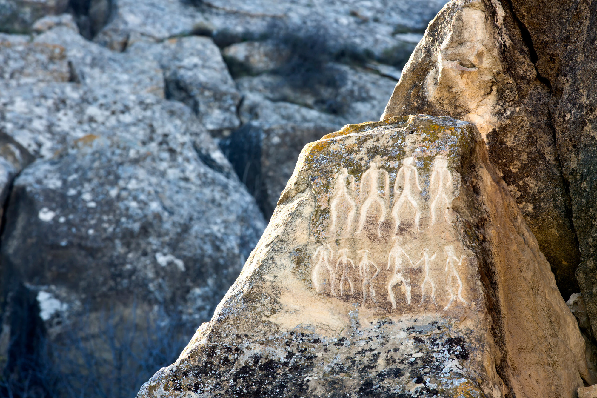 Historical petrographs. Carvings dating back 10 000 BC