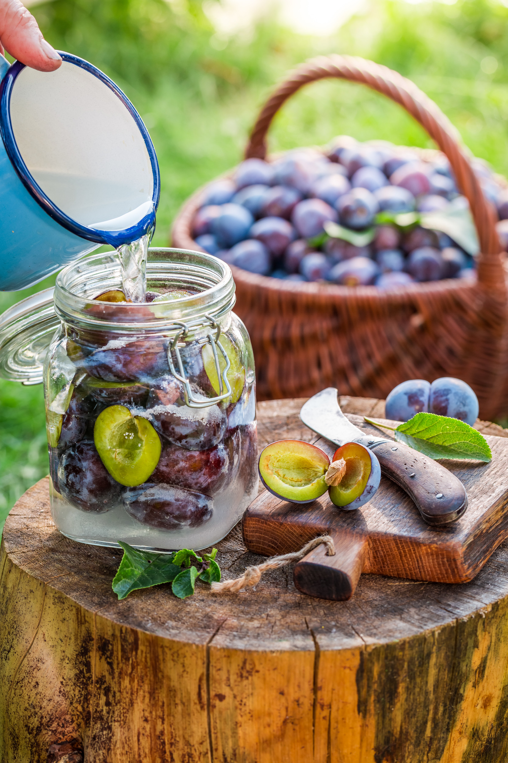 Preparation for pickled plums in the jar