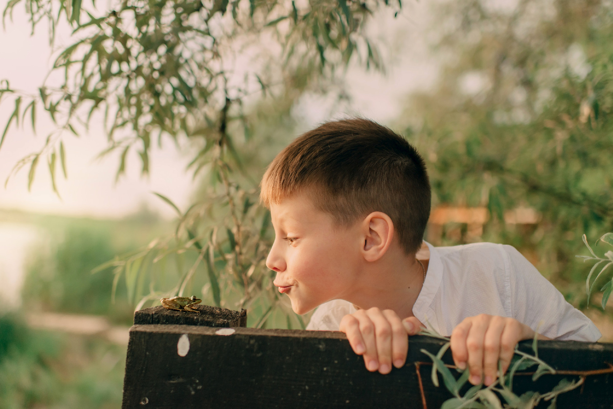 boy playing with a frog