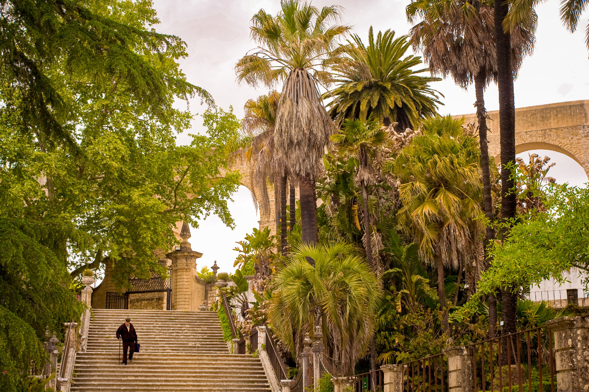 Jardim Botânico