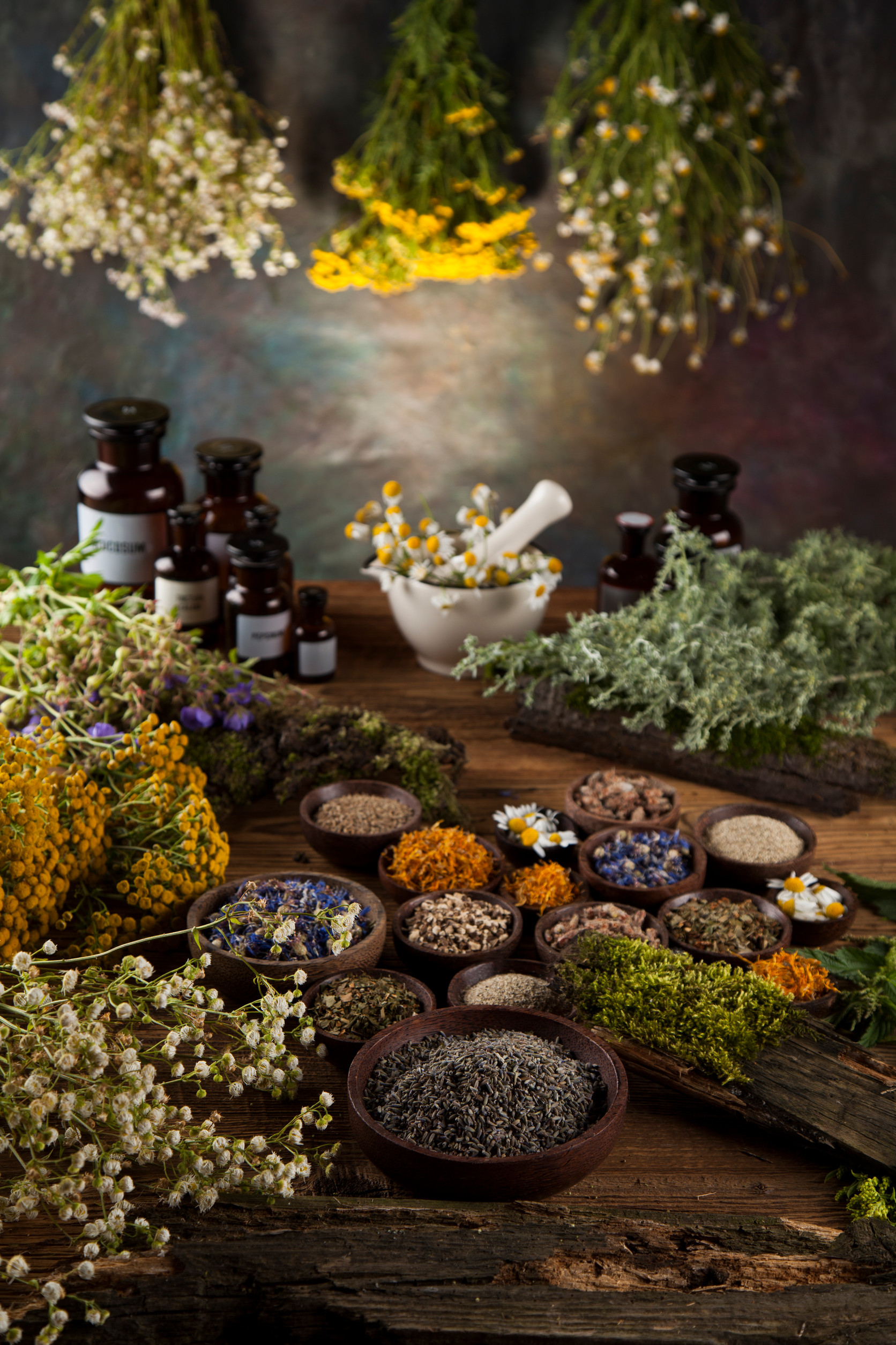 Assorted natural medical herbs and mortar on wooden table backgr
