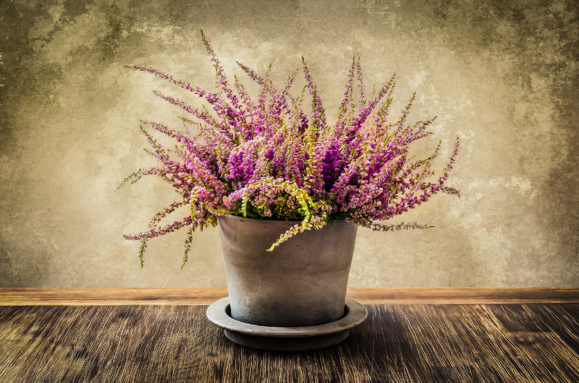 Post-process painting of nice heather flower in pot