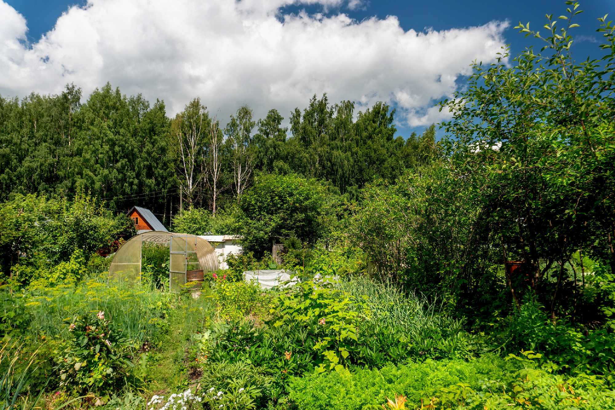 Countryside Plot with a Small House