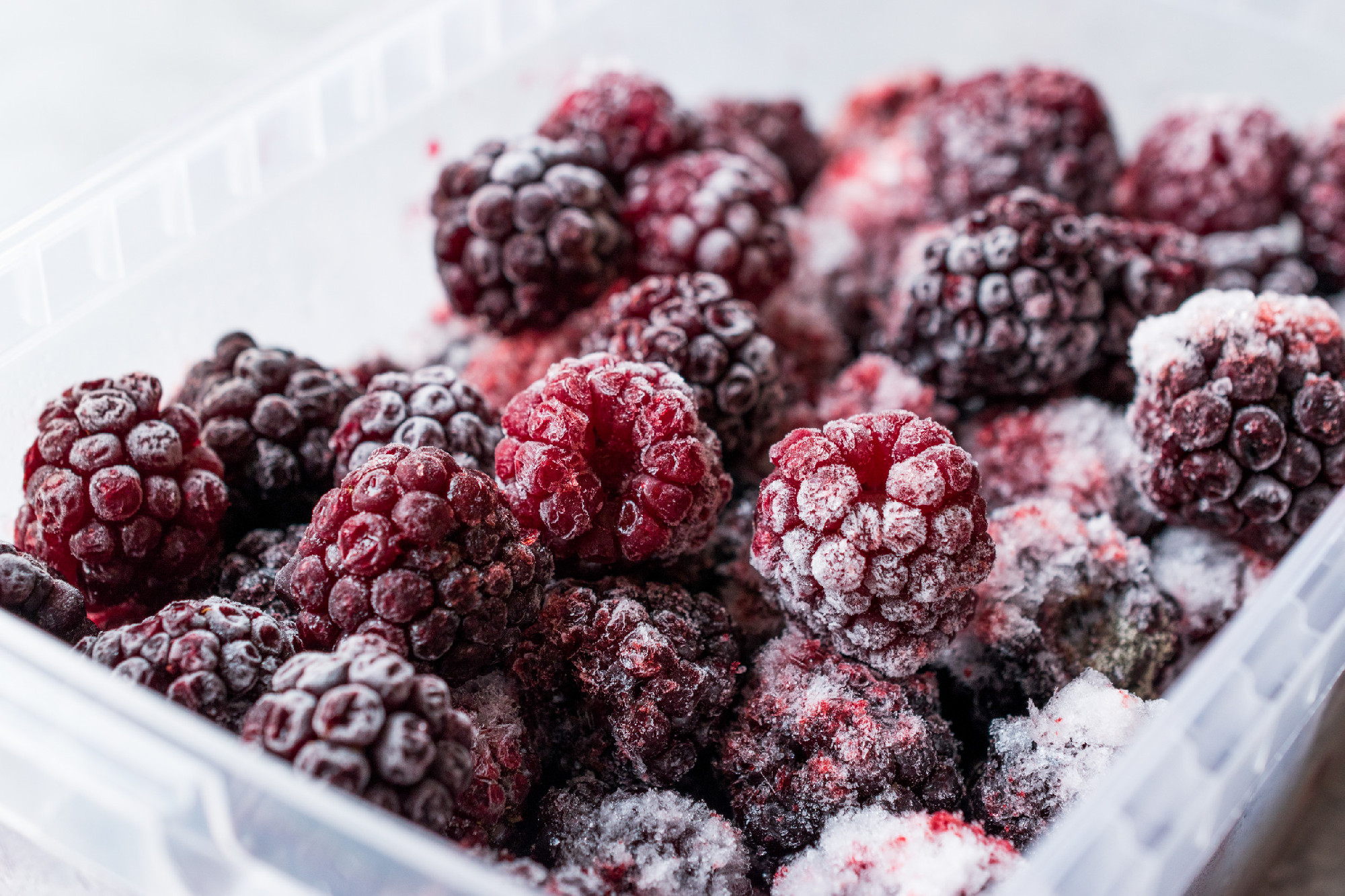 Frozen Blackberry in Plastic Box