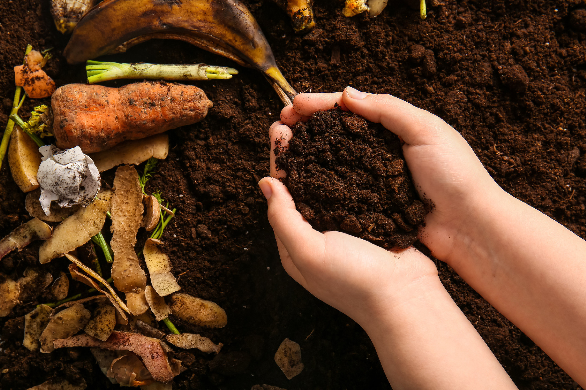Female hands holding soil near organic waste, closeup. Compost recycling concept�