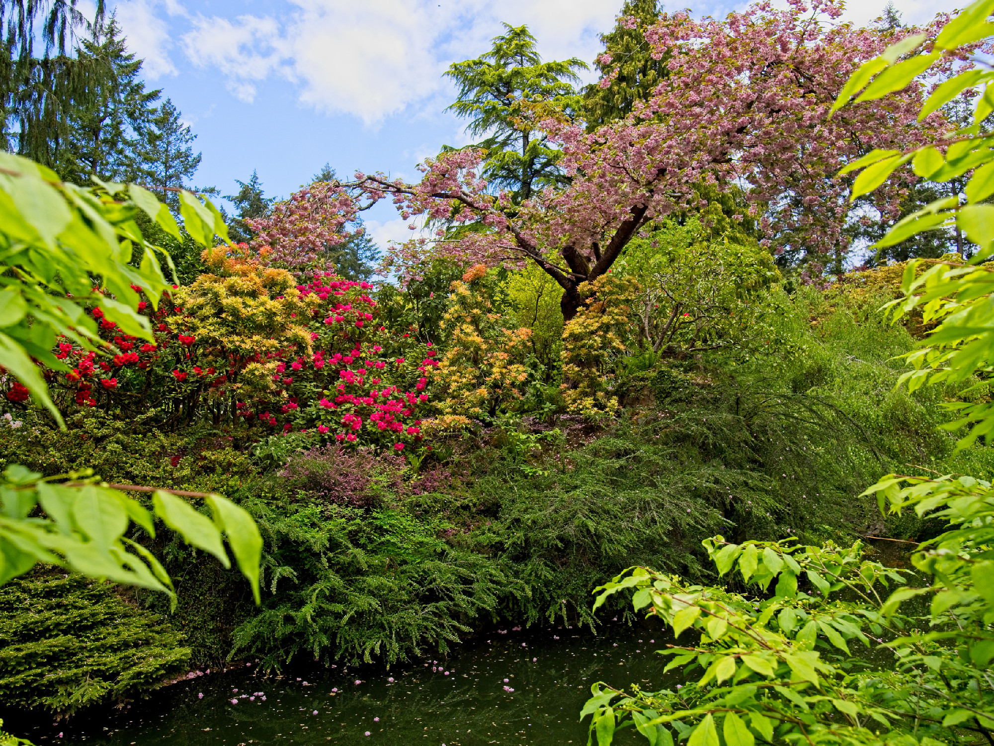Spring garden