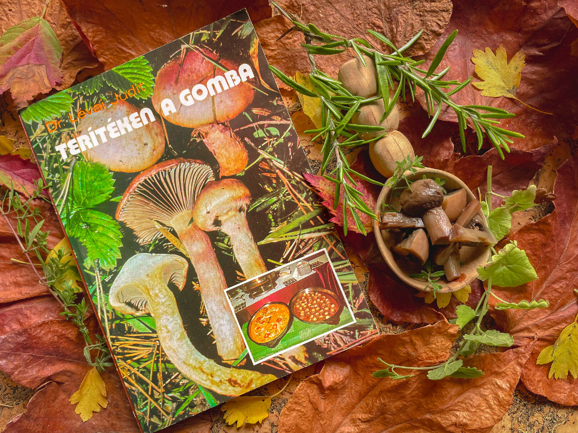Terítéken a gomba – útmutatóval gombamérgezés esetére