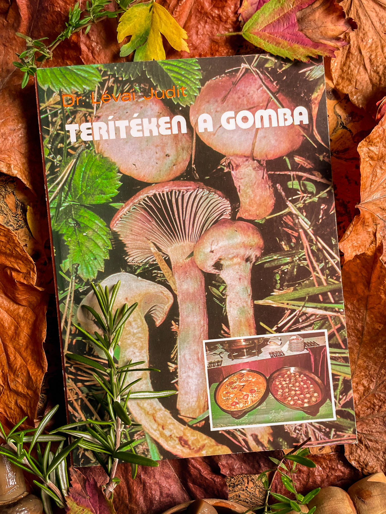 Terítéken a gomba – útmutatóval gombamérgezés esetére