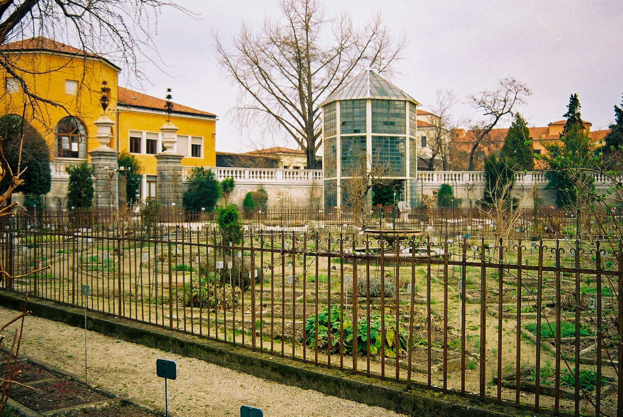 Botanical Garden (Orto Botanico), Padua (Italy)