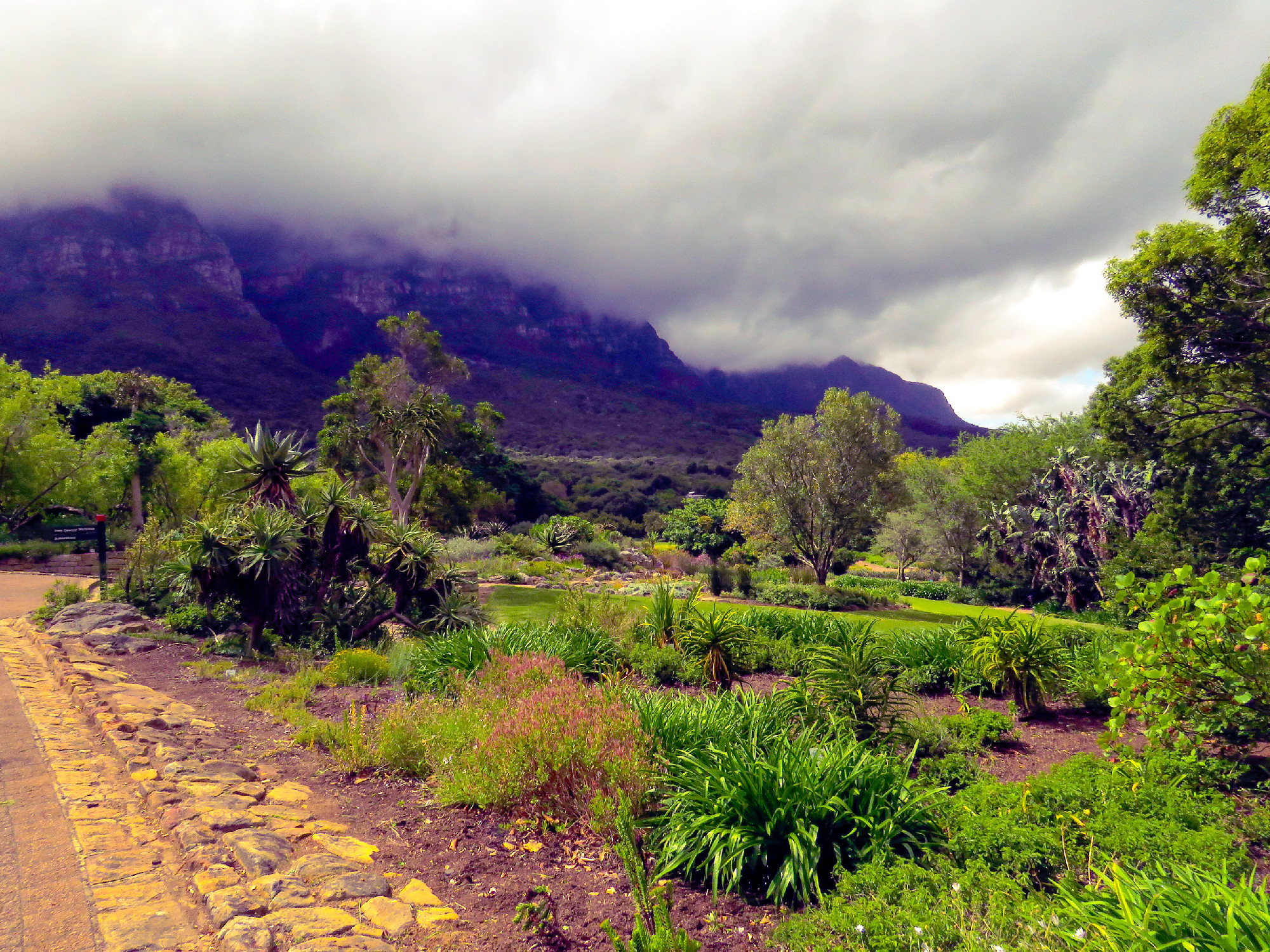 A világ egyik legszebb botanikus kertjéért Fokvárosig kell utaznunk: a Kirstenbosch csodája