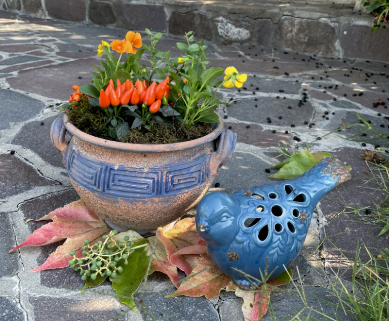 Itt az őszi balkon- és kertdíszítés ideje: virágos dekorok, amiben még sokáig gyönyörködhetsz