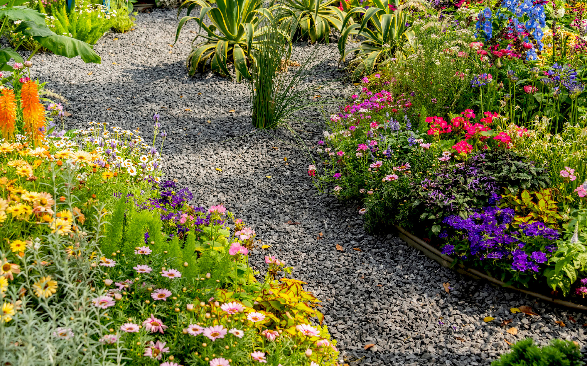 colorful flowers with rock path leading through a flower garden