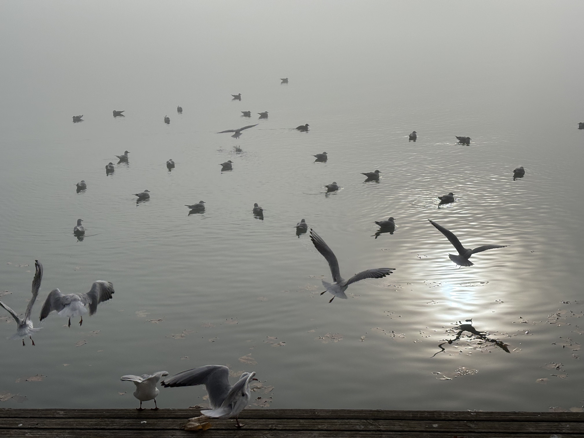 Válaszolj és nyerj! 