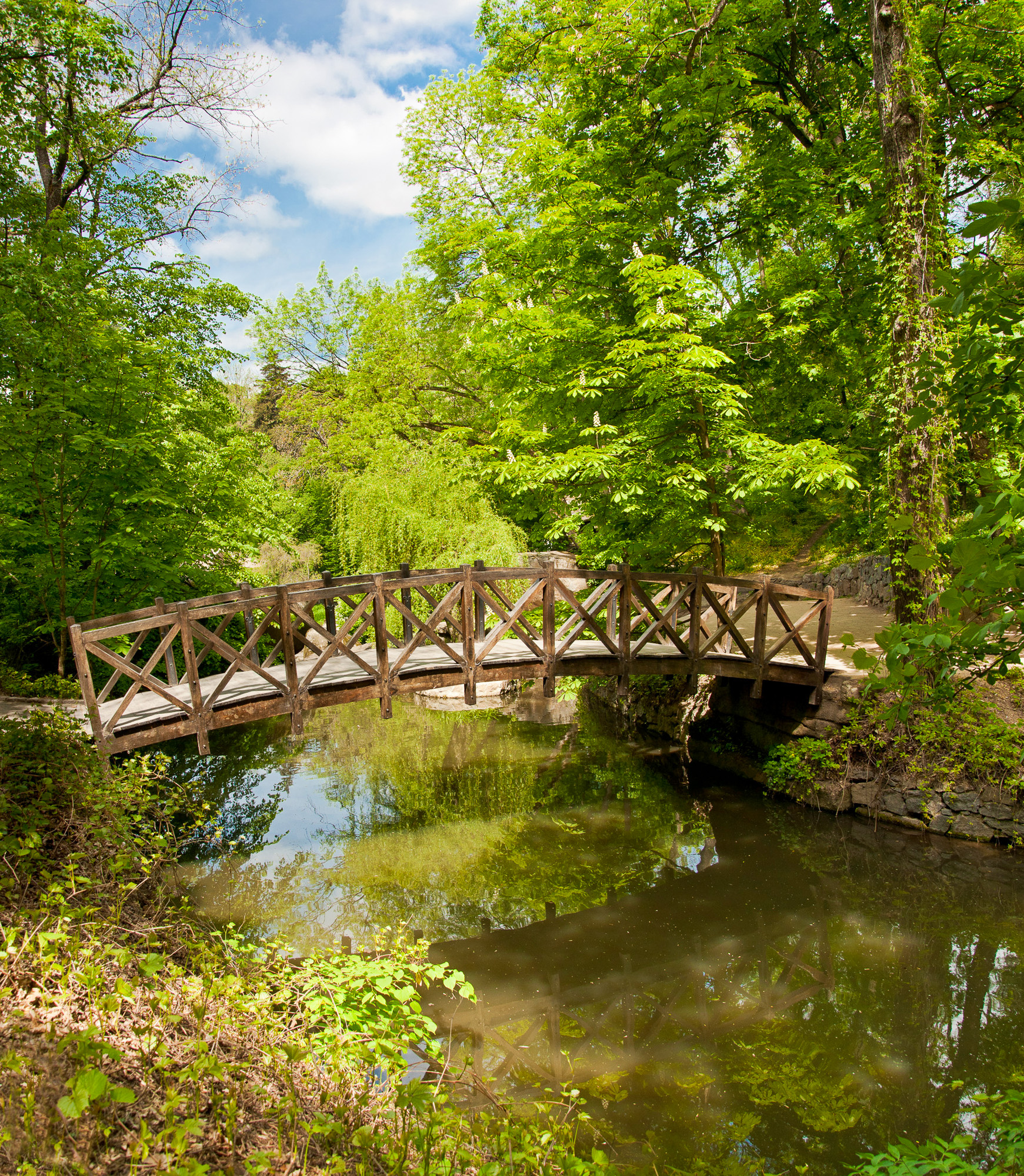 Beautiful wooden footbridge across river