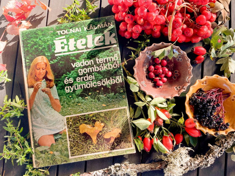 Gyűjtögetők szakácskönyve, útmutató a vadonba