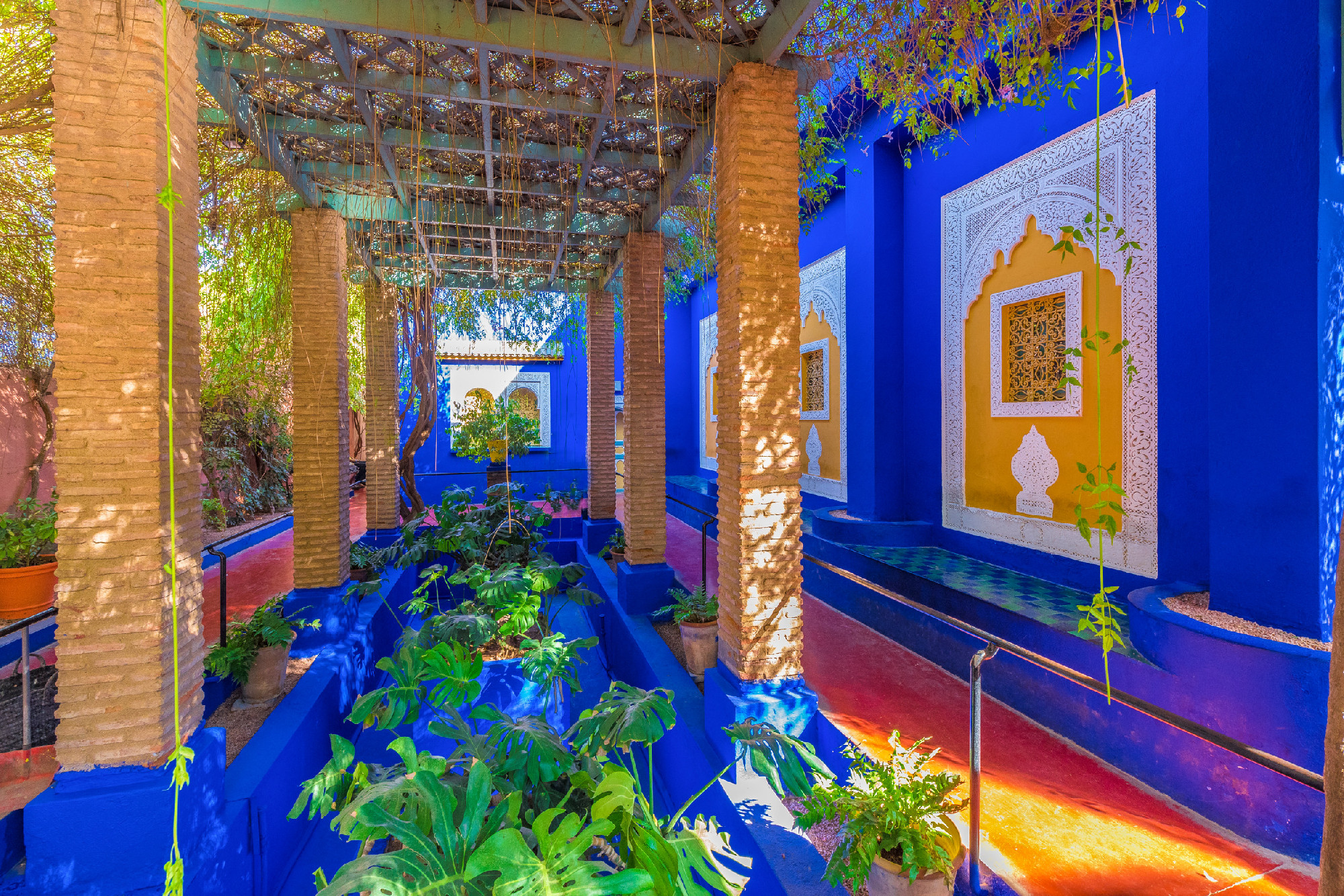 Majorelle-kert Marokkó