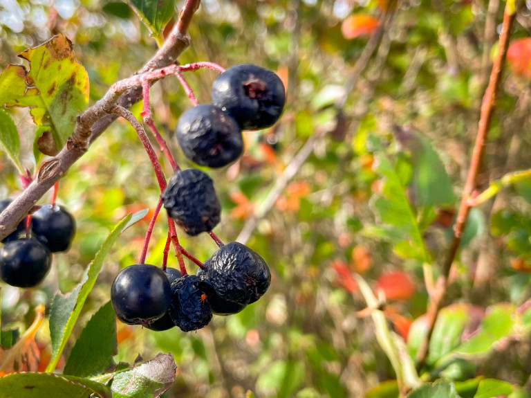 Jót adni az embereknek