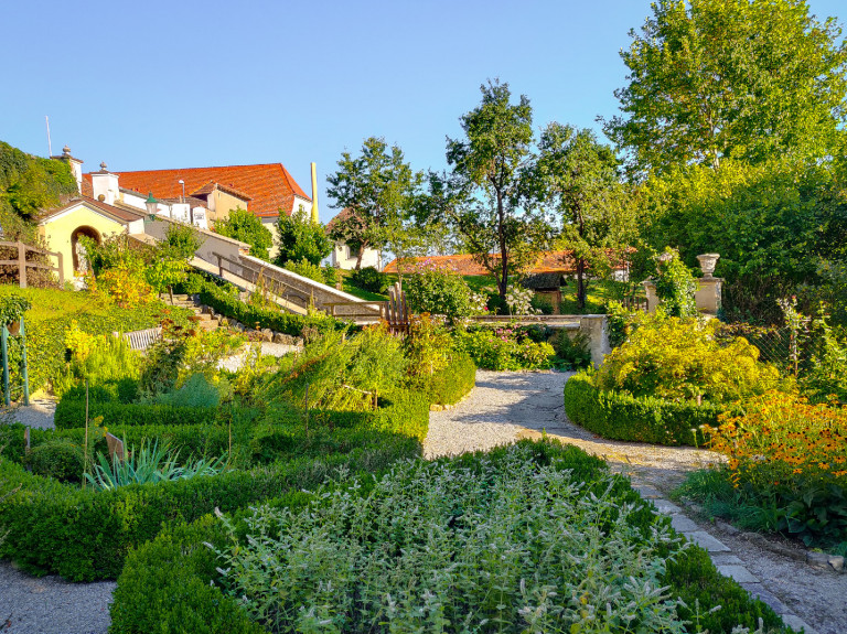 Ahol megszólaltak a fák