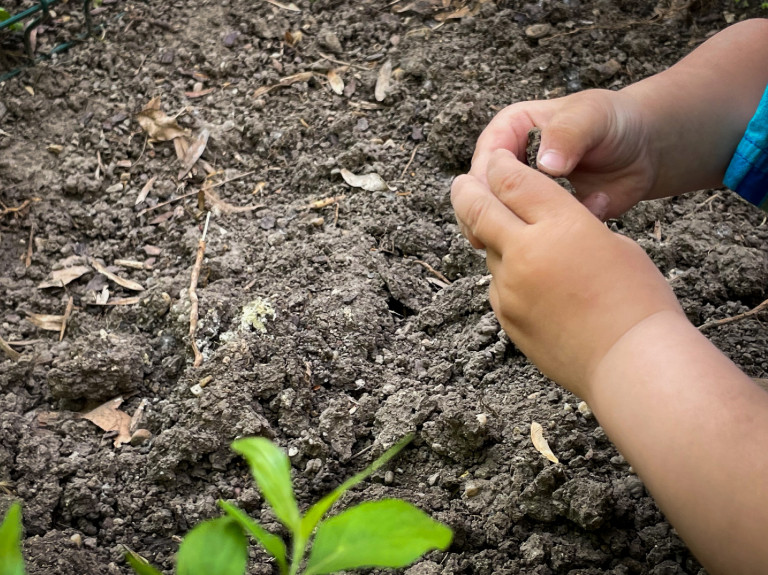 Híd a város és a természet között