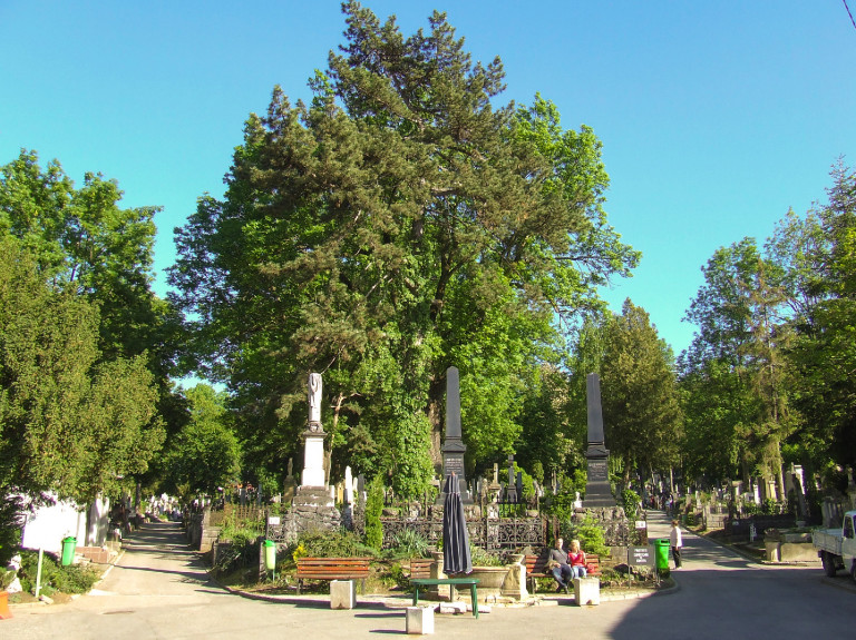 A csend, ami beszél