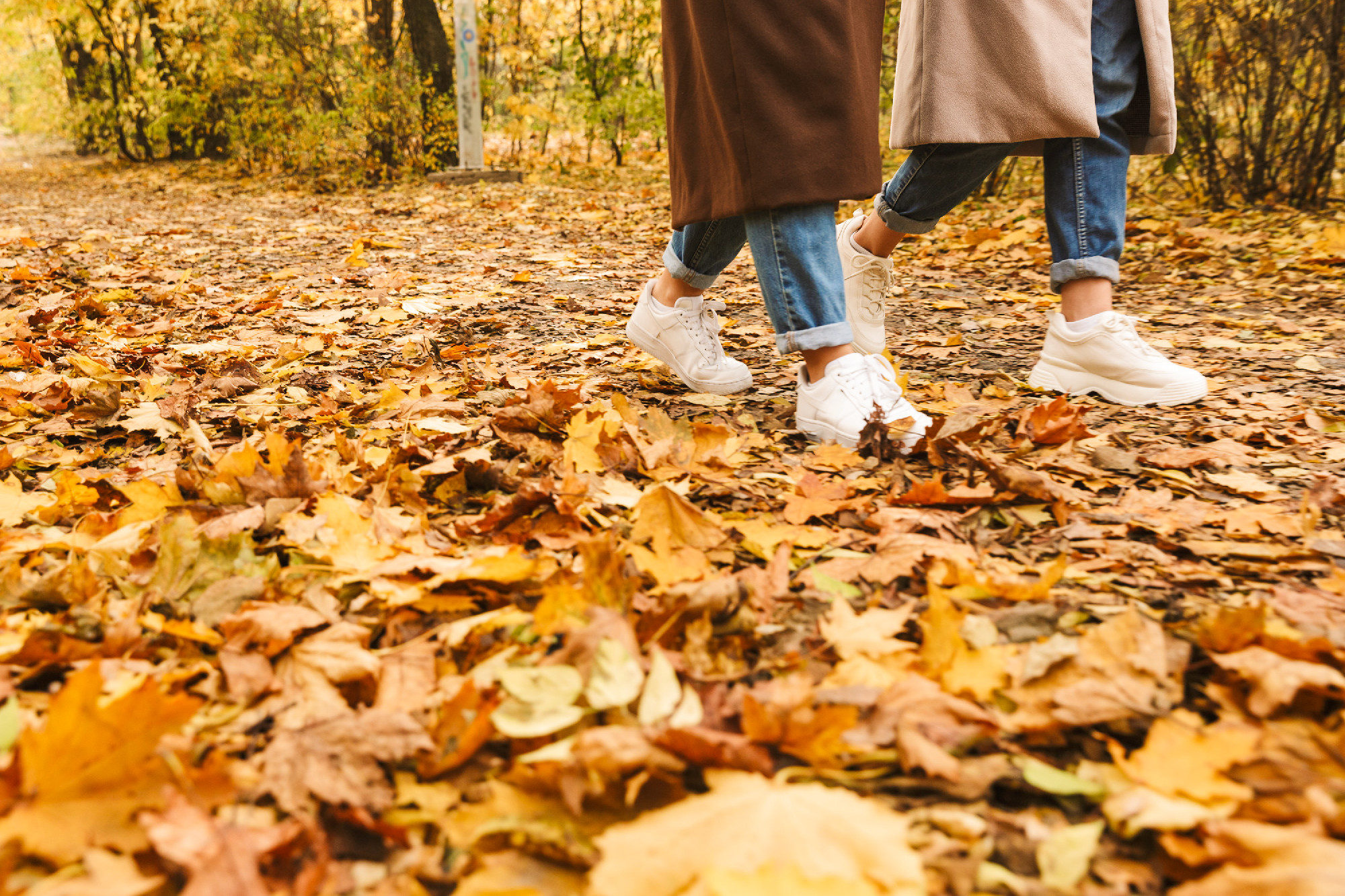 Two cheerful young pretty girls wearing coats walking together