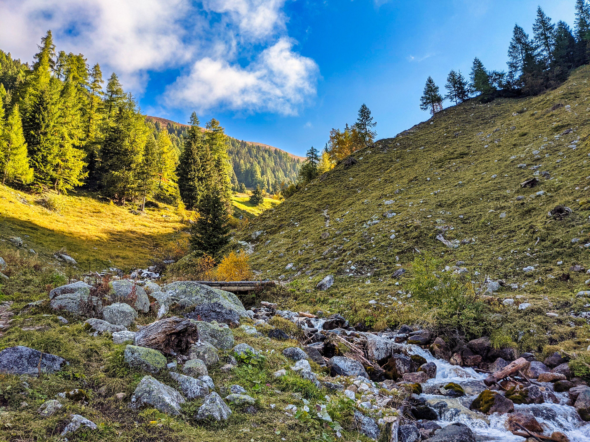 beautiful autumn mood. Lark forest with a fresh mountain stream 