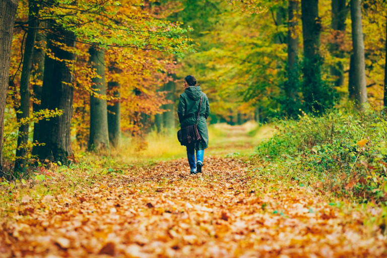 A természetben tartózkodás pozitív élettani hatásai