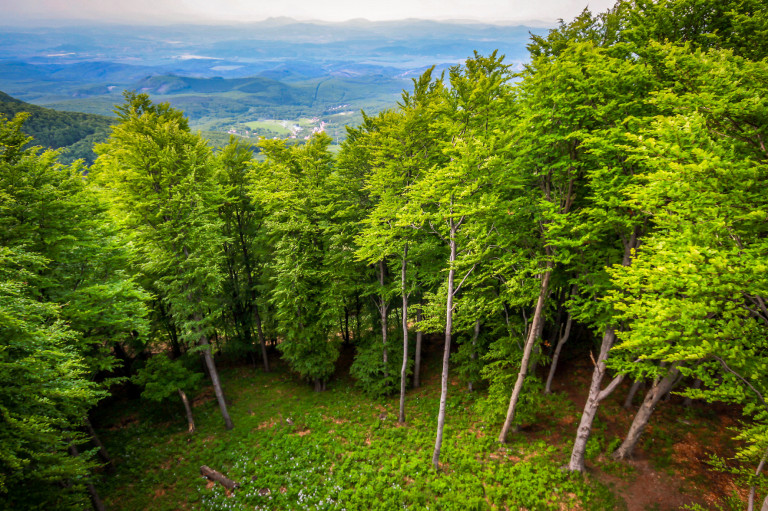Októberi kirándulásajánló