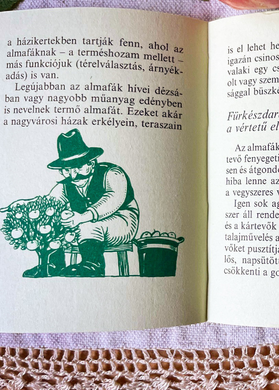 Kis könyv a magyar almáról Bálint gazda tollából
