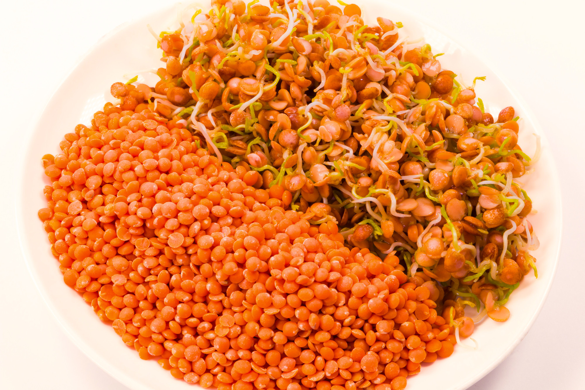 a mixture of raw red lentils and sprouts on white