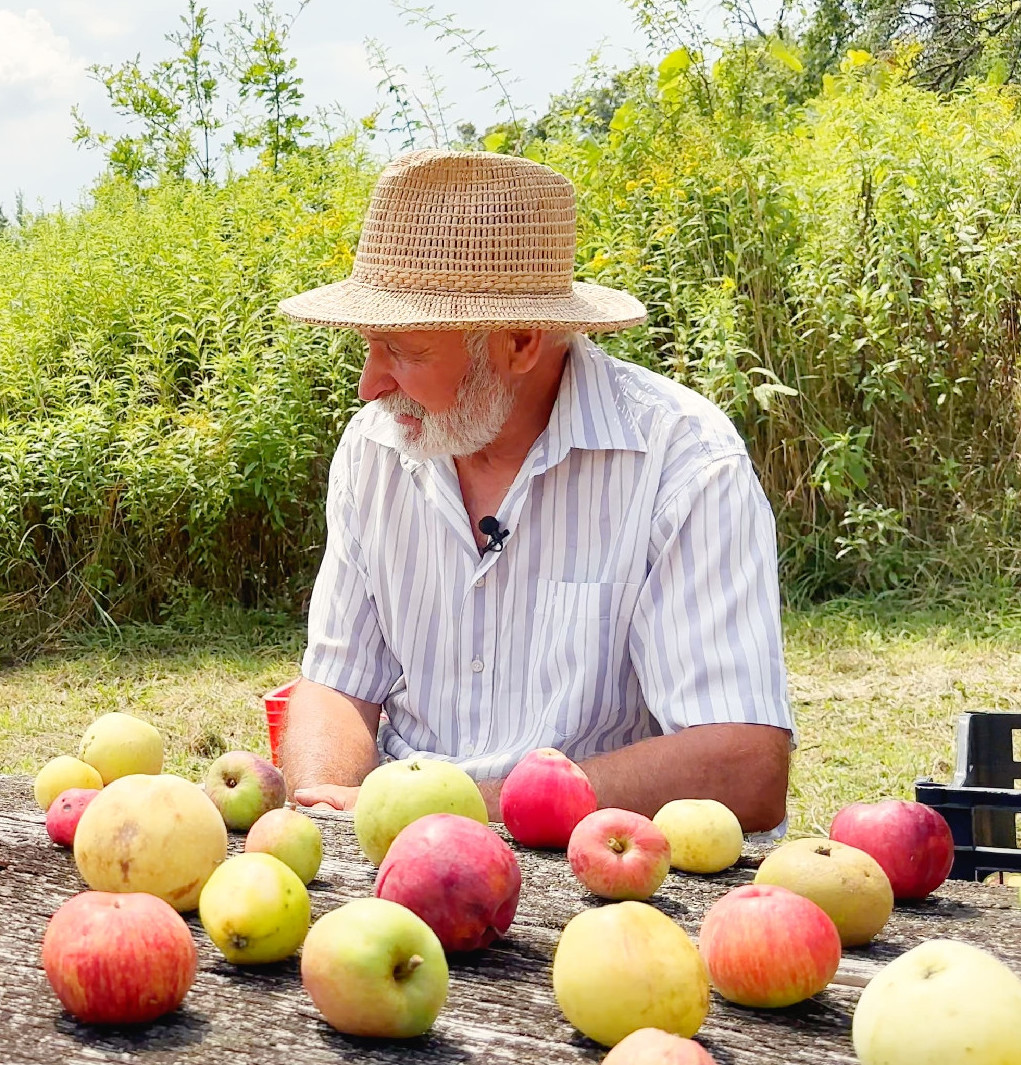 Kovács Gyula, a Tündérkertek gazdája
