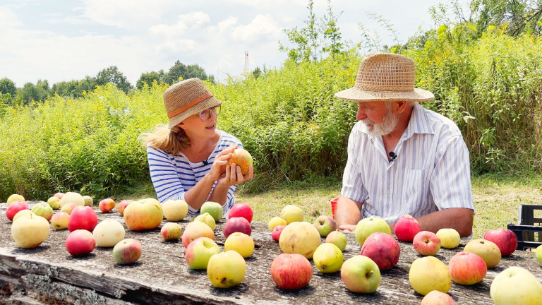 Kovács Gyula, a Tündérkertek gazdája 