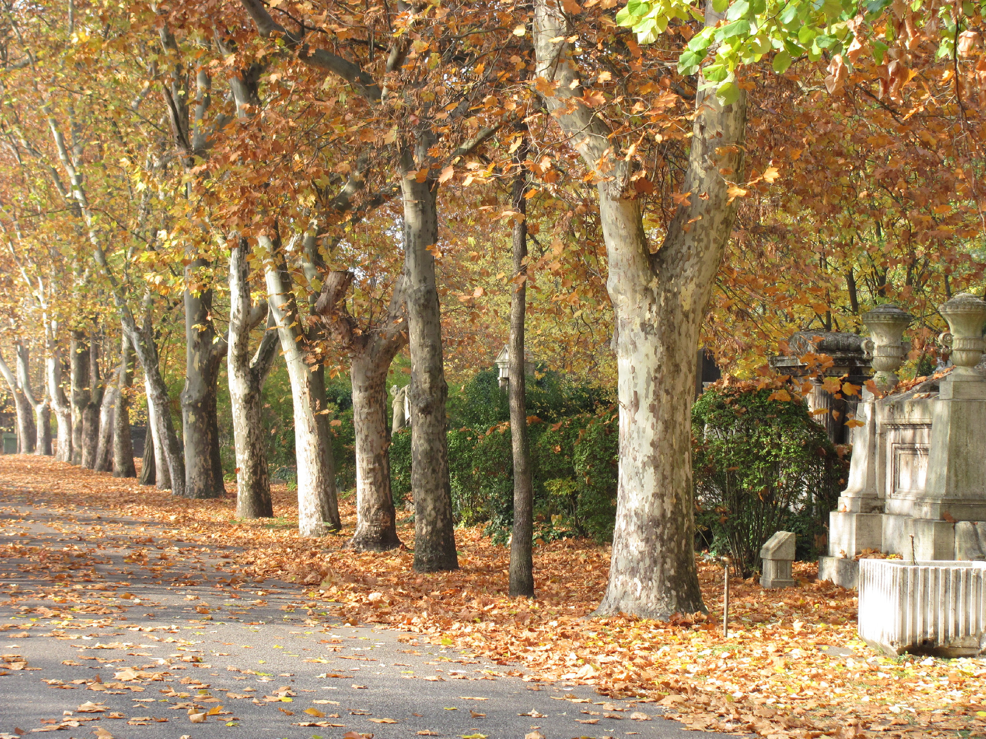 Az élet él, meg nem szakad