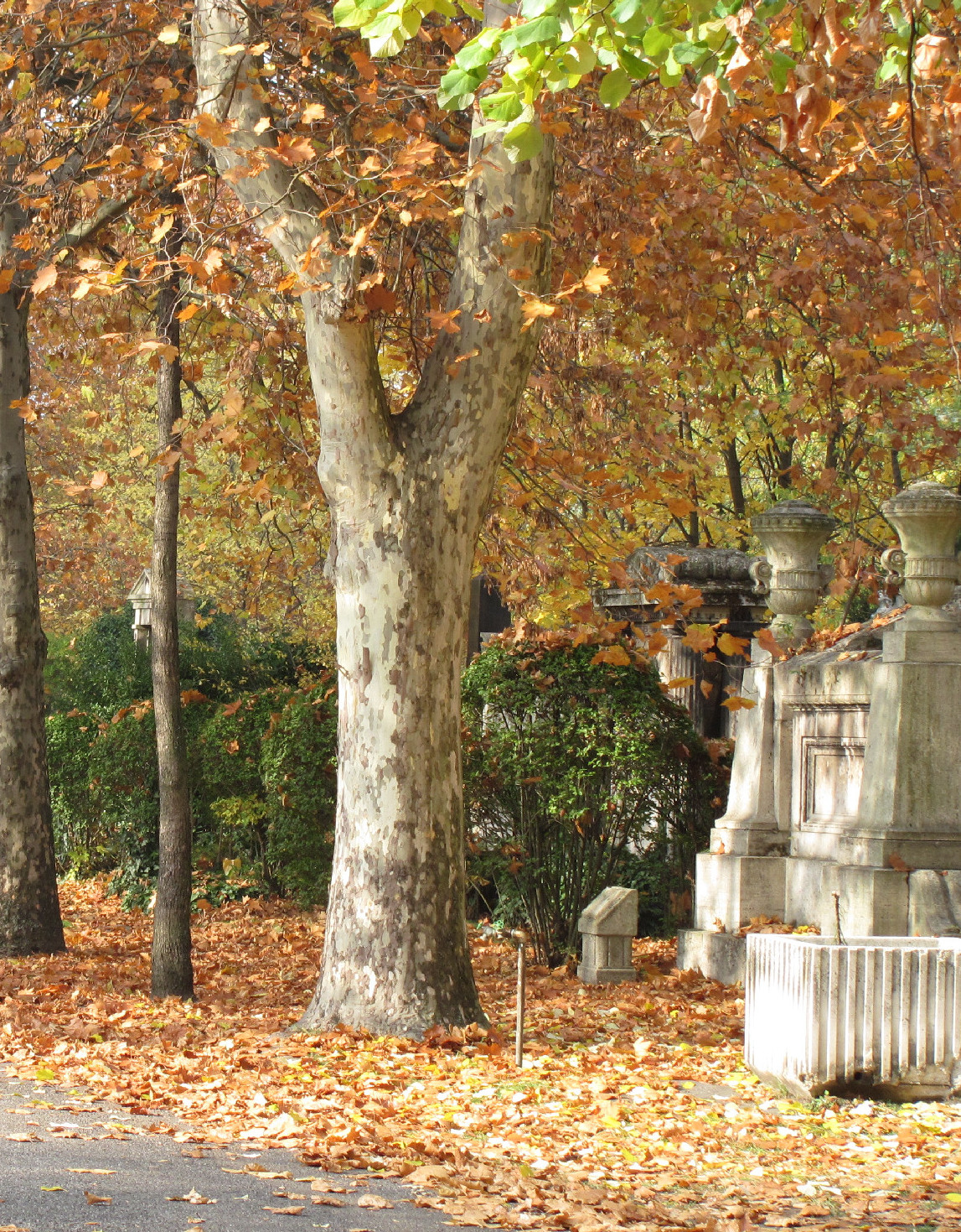 Az élet él, meg nem szakad