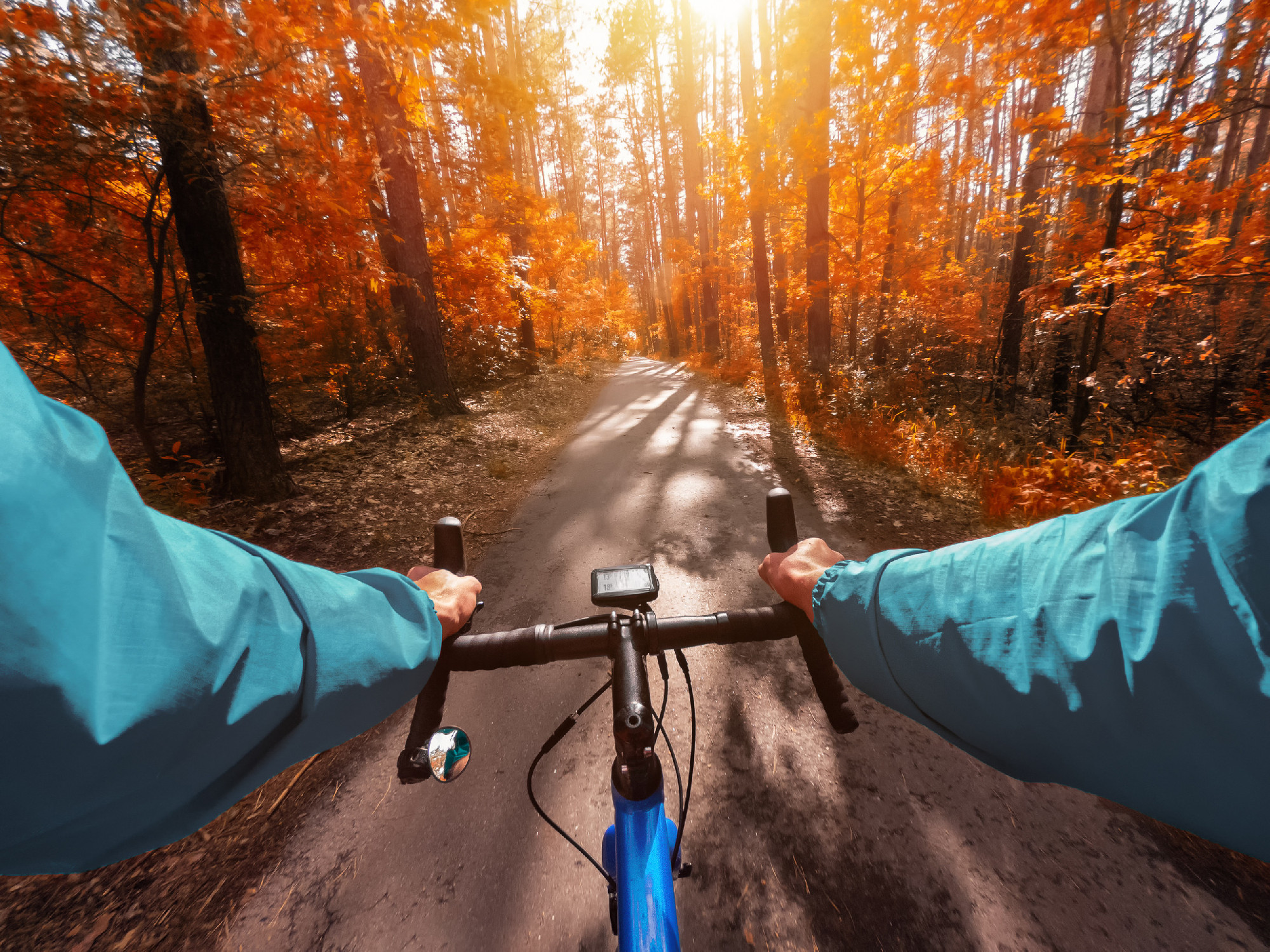 Cyclist on a road bike rides in the autumn forest. First-person