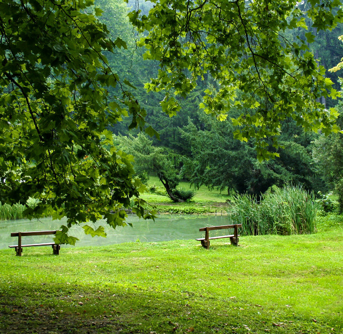 A püspökszentlászlói püspöki kastély és arborétum